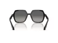 Giorgio Armani Lunettes de Soleil AR 8193U 500119