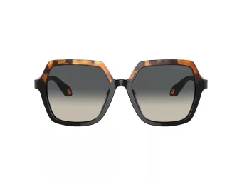 Giorgio Armani Lunettes de Soleil AR 8193U 587519