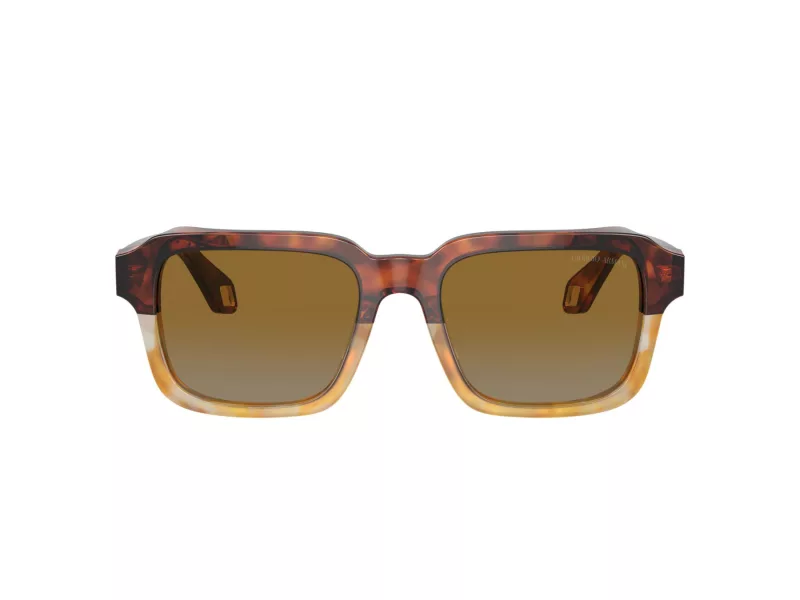 Giorgio Armani Lunettes de Soleil AR 8194U 6034B2