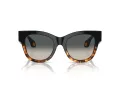 Giorgio Armani Lunettes de Soleil AR 8195U 587519