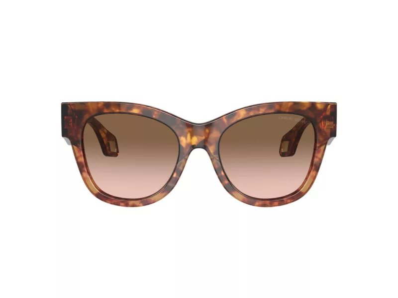 Giorgio Armani Lunettes de Soleil AR 8195U 603351