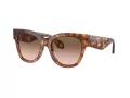 Giorgio Armani Lunettes de Soleil AR 8195U 603351