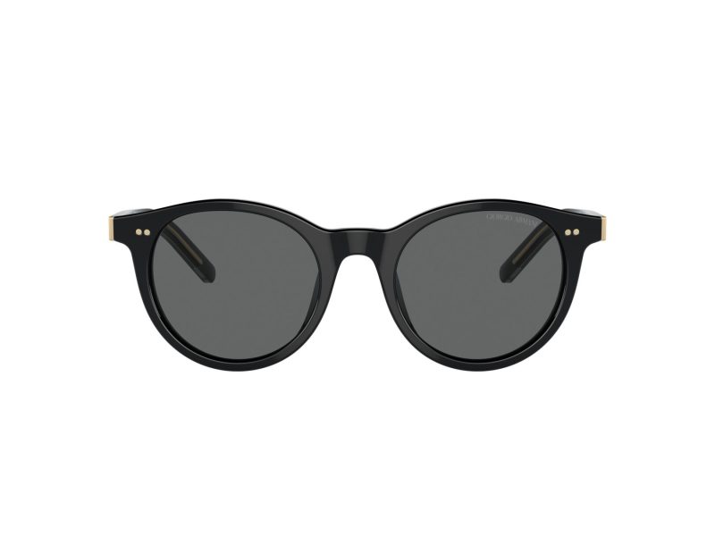 Giorgio Armani Lunettes de Soleil AR 8199U 587587