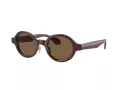 Giorgio Armani Lunettes de Soleil AR 8205 606273