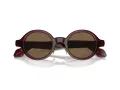 Giorgio Armani Lunettes de Soleil AR 8205 606273