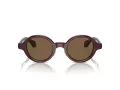 Giorgio Armani Lunettes de Soleil AR 8205 606273