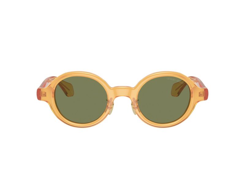 Giorgio Armani Lunettes de Soleil AR 8205 60632A