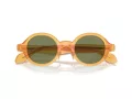 Giorgio Armani Lunettes de Soleil AR 8205 60632A