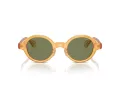 Giorgio Armani Lunettes de Soleil AR 8205 60632A