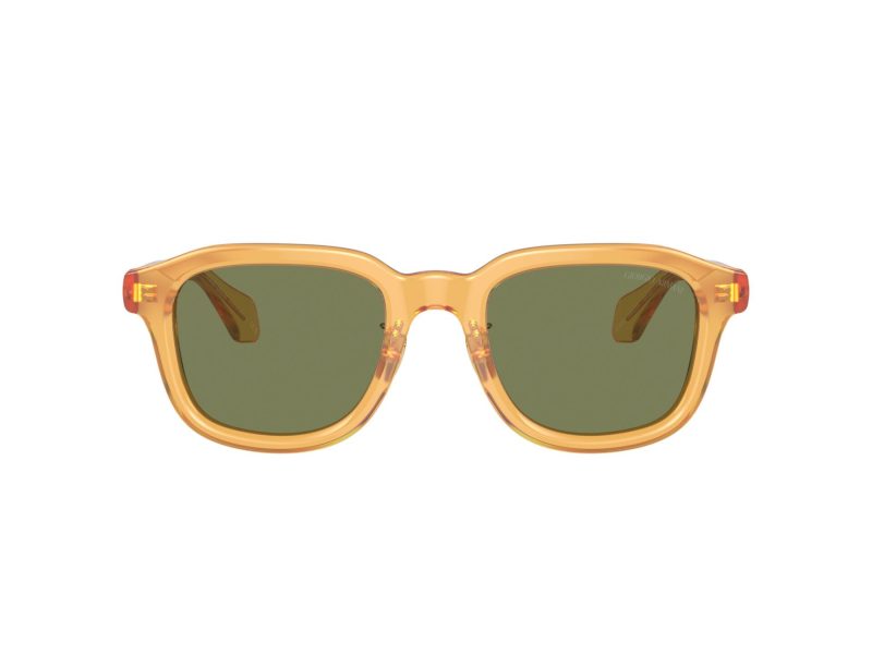 Giorgio Armani Lunettes de Soleil AR 8206 60632A