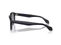 Giorgio Armani Lunettes de Soleil AR 8206 606419