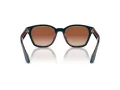 Giorgio Armani Lunettes de Soleil AR 8207 608513