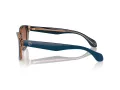 Giorgio Armani Lunettes de Soleil AR 8207 608513