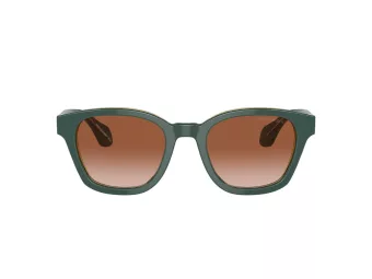 Giorgio Armani Lunettes de Soleil AR 8207 608613