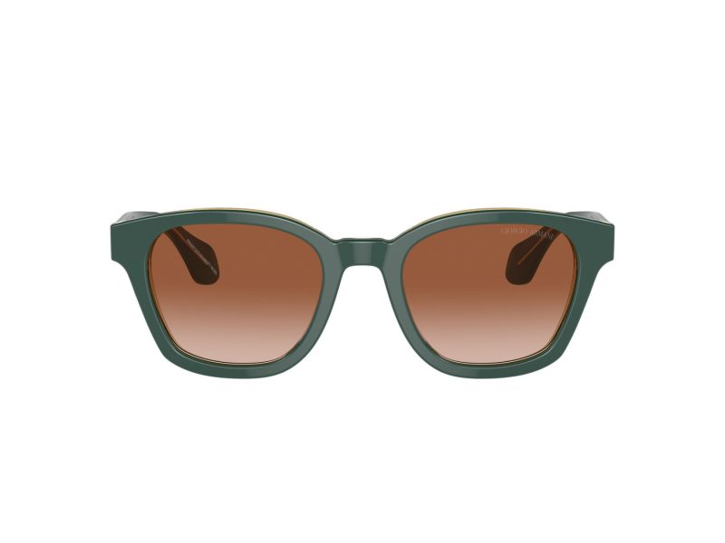 Giorgio Armani Lunettes de Soleil AR 8207 608613