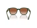 Giorgio Armani Lunettes de Soleil AR 8207 608613
