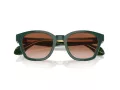 Giorgio Armani Lunettes de Soleil AR 8207 608613
