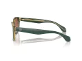 Giorgio Armani Lunettes de Soleil AR 8207 608613