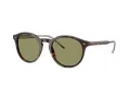 Giorgio Armani Lunettes de Soleil AR 8211 587914