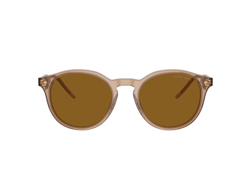 Giorgio Armani Lunettes de Soleil AR 8211 607233
