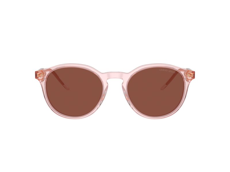Giorgio Armani Lunettes de Soleil AR 8211 6073C5