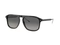 Giorgio Armani Lunettes de Soleil AR 8212 587571