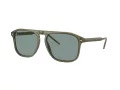 Giorgio Armani Lunettes de Soleil AR 8212 607456