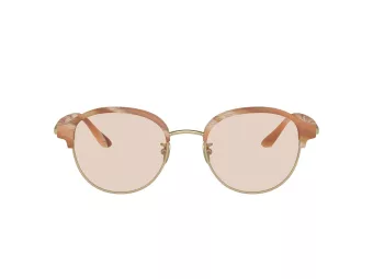 Giorgio Armani Lunettes de Soleil AR 8215 6067M4