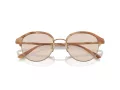Giorgio Armani Lunettes de Soleil AR 8215 6067M4