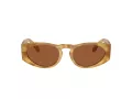 Giorgio Armani Lunettes de Soleil AR 8216 597973