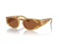 Giorgio Armani Lunettes de Soleil AR 8216 597973