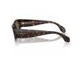 Giorgio Armani Lunettes de Soleil AR 8216 612473
