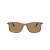 Giorgio Armani Lunettes de Soleil AR 8218 6167M4