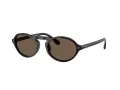 Giorgio Armani Lunettes de Soleil AR 8219U 58758T