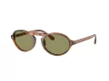 Giorgio Armani Lunettes de Soleil AR 8219U 616314
