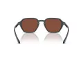 Giorgio Armani Lunettes de Soleil AR 8220 6171C5