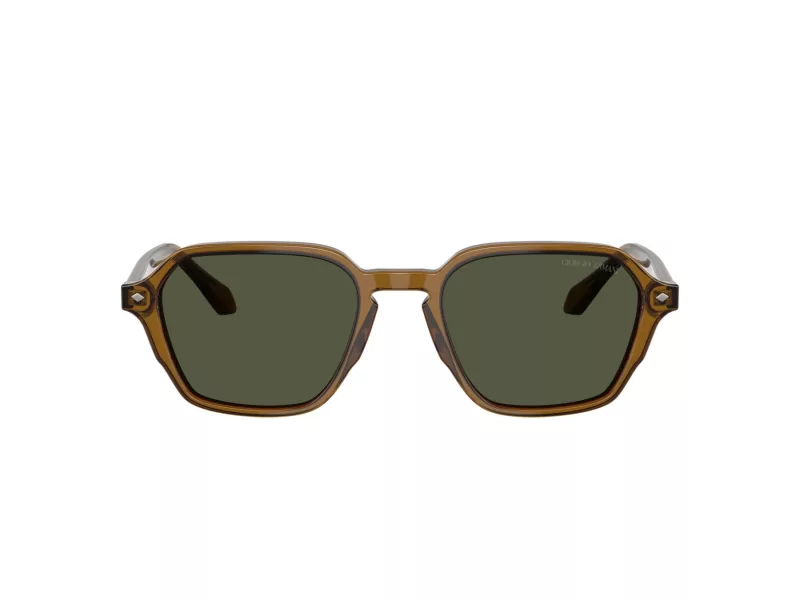 Giorgio Armani Lunettes de Soleil AR 8220 617231
