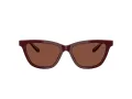 Giorgio Armani Lunettes de Soleil AR 8221 5955C5