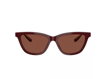 Giorgio Armani Lunettes de Soleil AR 8221 5955C5
