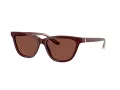 Giorgio Armani Lunettes de Soleil AR 8221 5955C5