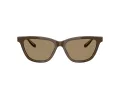 Giorgio Armani Lunettes de Soleil AR 8221 595753