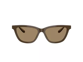 Giorgio Armani Lunettes de Soleil AR 8221 595753