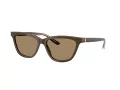 Giorgio Armani Lunettes de Soleil AR 8221 595753