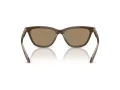 Giorgio Armani Lunettes de Soleil AR 8221 595753