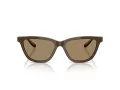 Giorgio Armani Lunettes de Soleil AR 8221 595753
