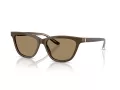 Giorgio Armani Lunettes de Soleil AR 8221 595753