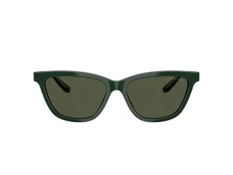 Giorgio Armani Lunettes de Soleil AR 8221 617331