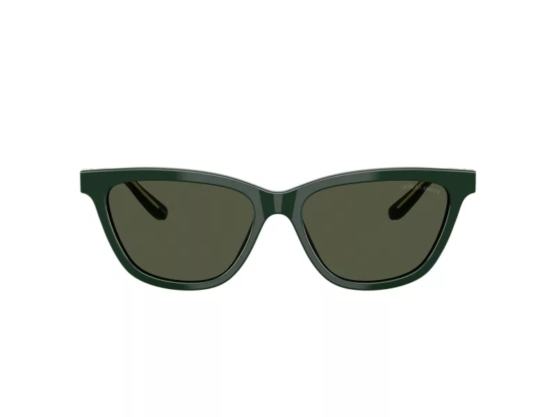 Giorgio Armani Lunettes de Soleil AR 8221 617331