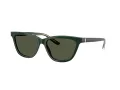 Giorgio Armani Lunettes de Soleil AR 8221 617331