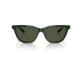 Giorgio Armani Lunettes de Soleil AR 8221 617331